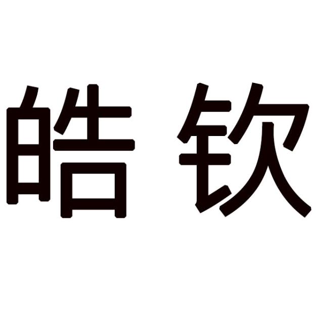 皓钦汽车用品企业店
