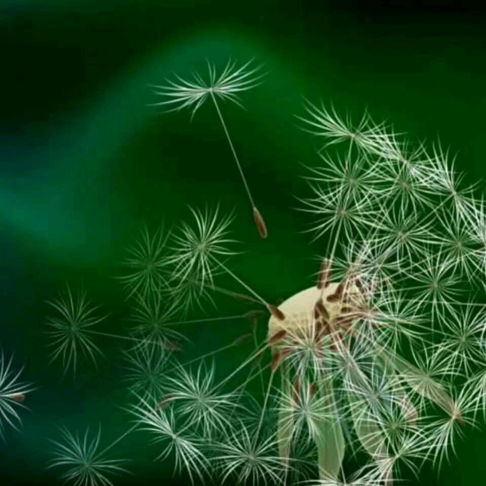 秋影