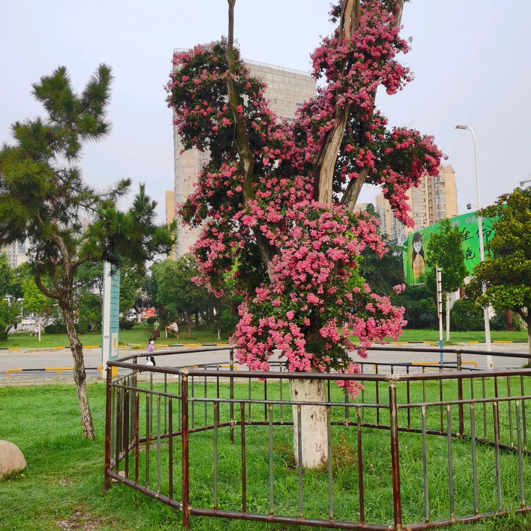 奋不顾身