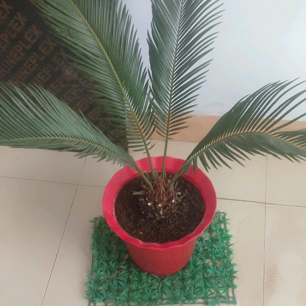 用户8387226624011奋斗