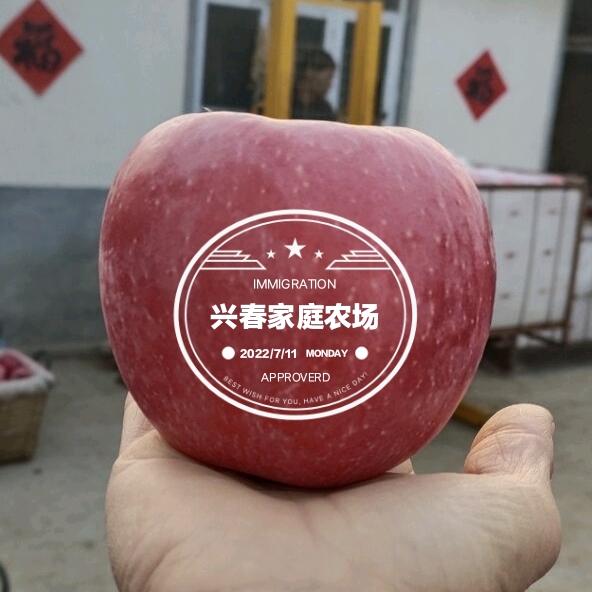 苹果熟了（梅姐）