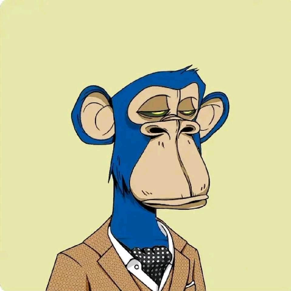 Mr D