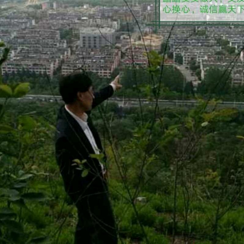 安徽黄山程华