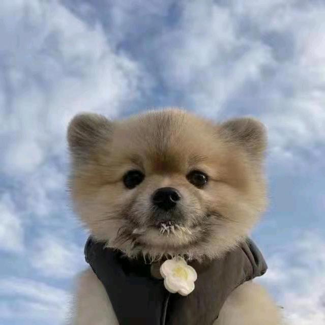 阿情✨