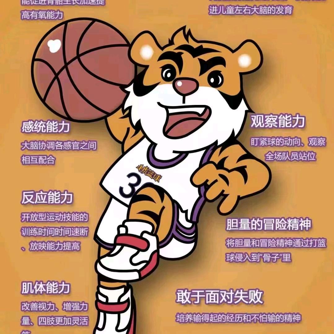 小虎篮球(邓州正商店）