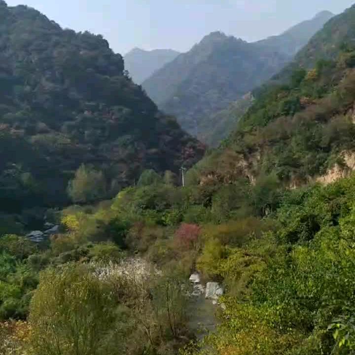 赵教练专业陪练