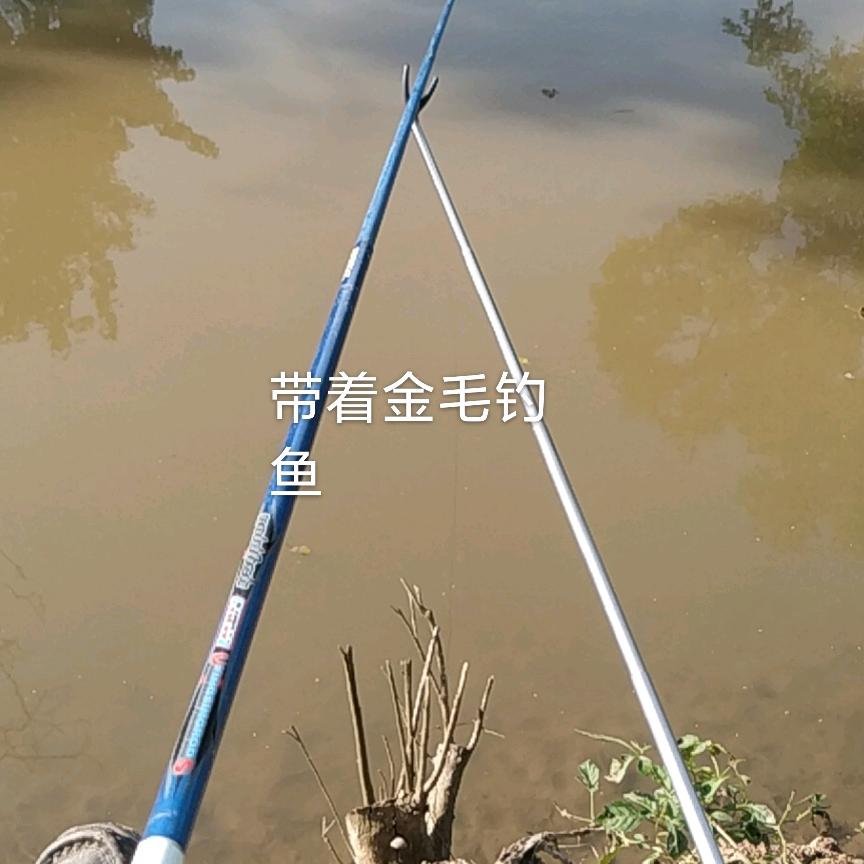甘苦人生