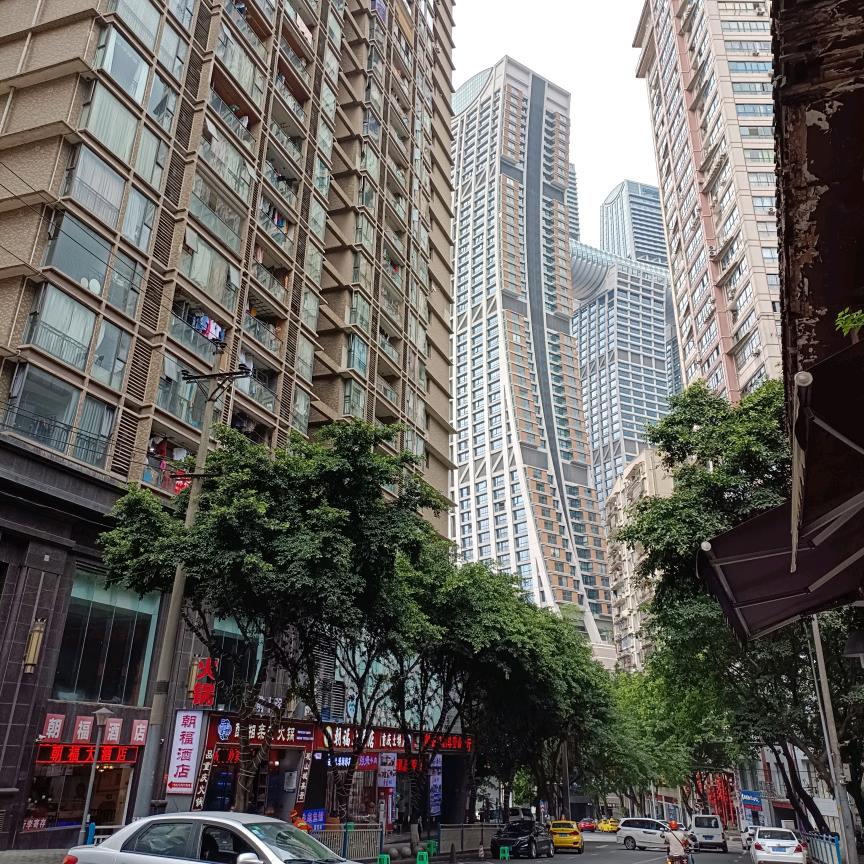 姐的(气质你不懂)