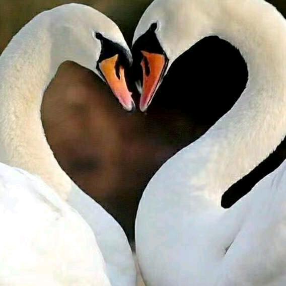 我在等风✨也在等你☞💫