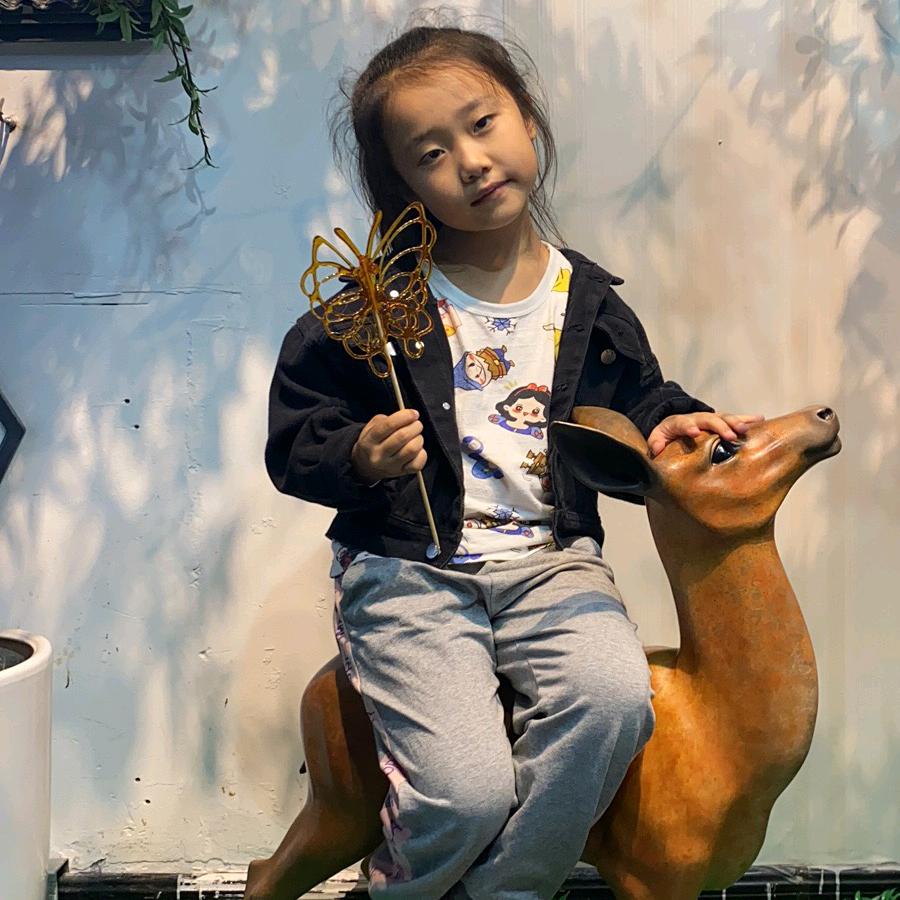 平顶山德尚装饰工程有限公司