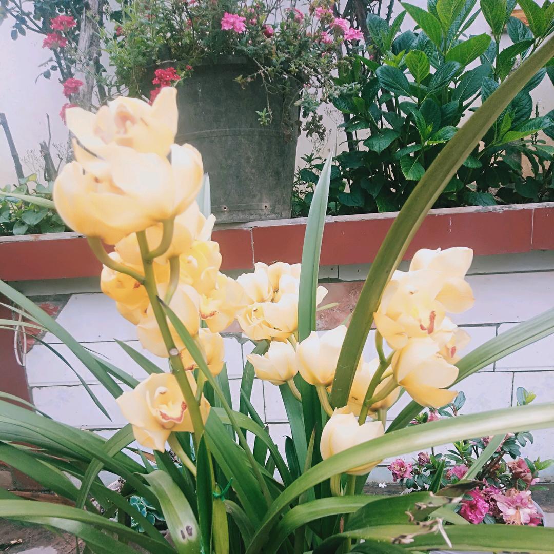 一直回忆过去