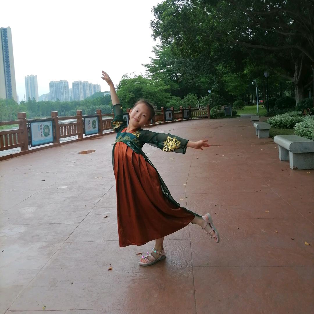 会飞的企鹅