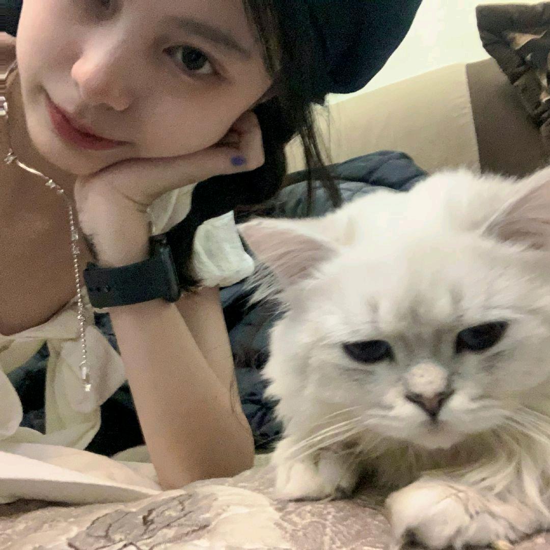 蛋卷不再建房子　　　　　　　　　　　🪳