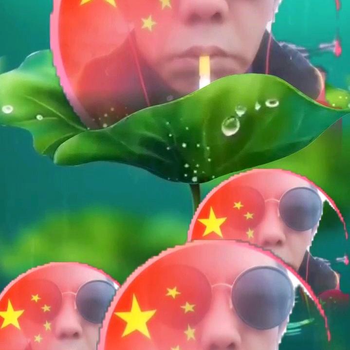 萍水相逢是我的名字，阳光豆豆美女。