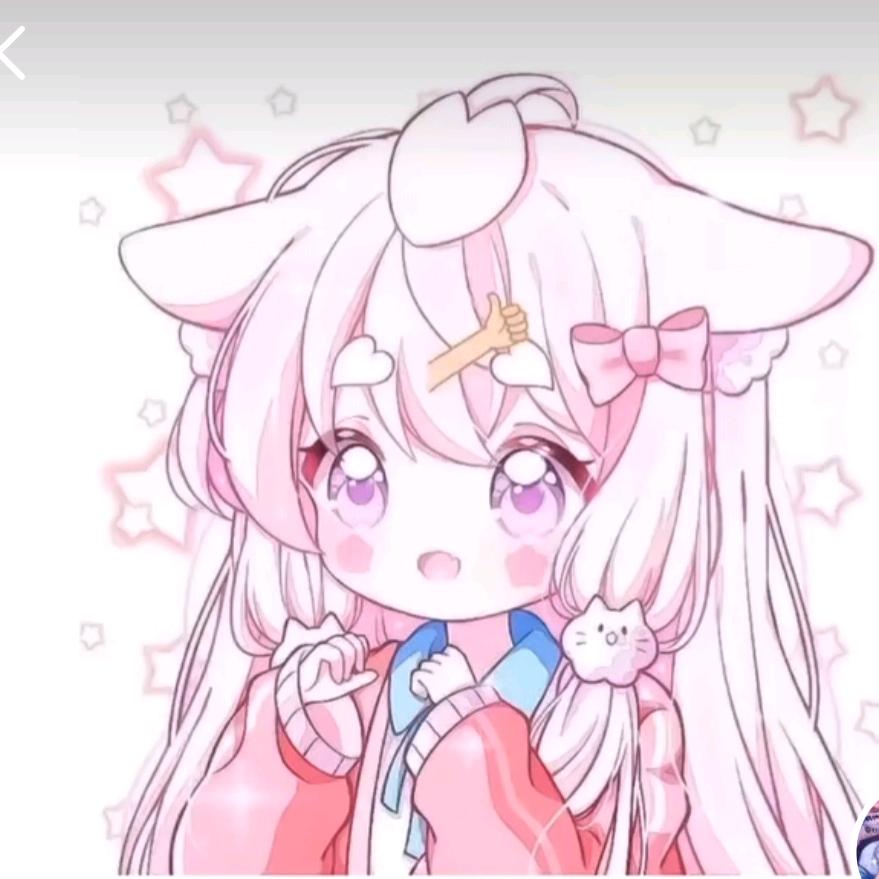 菲梦之星