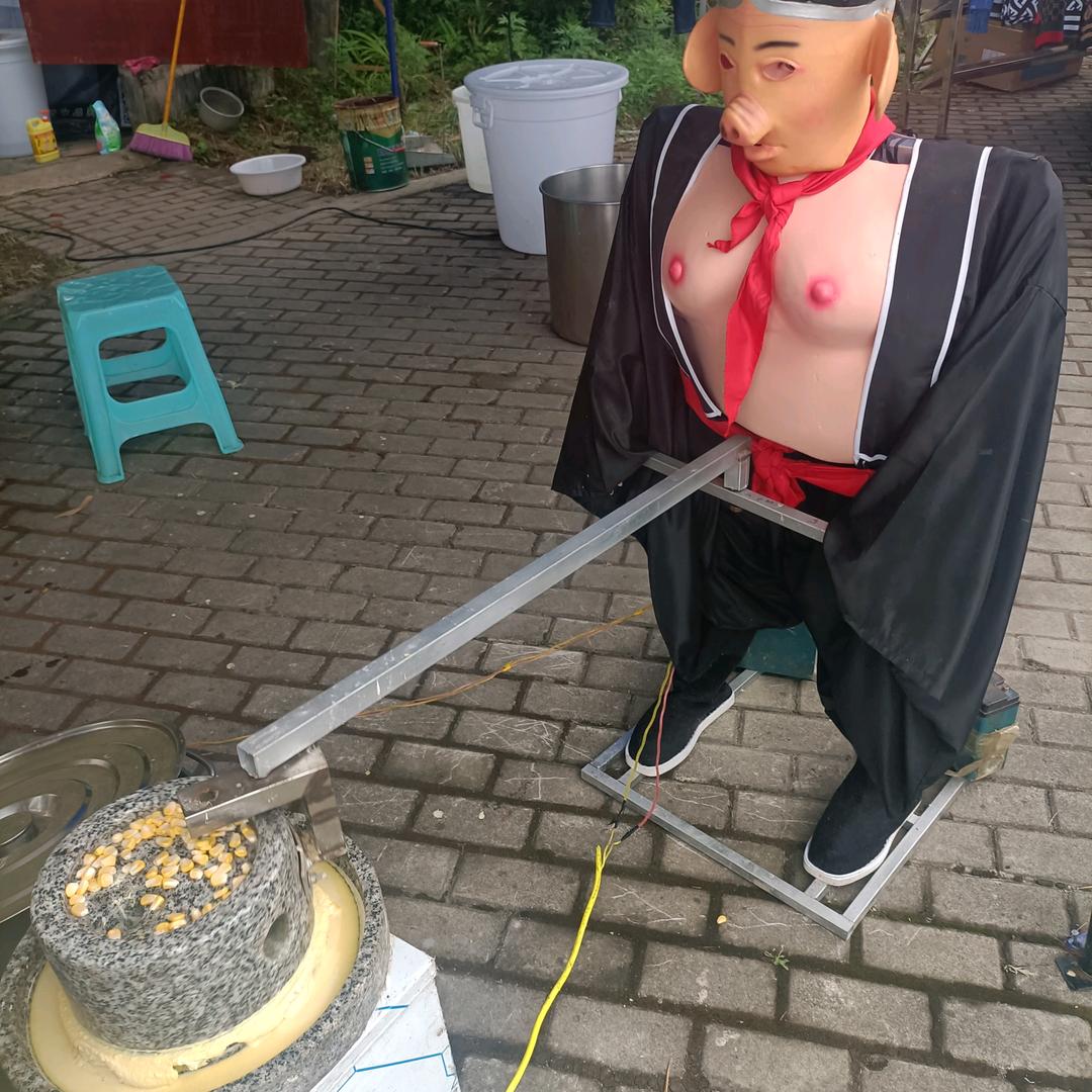 向阳花🌸🌸🌸🌸🌸🌸🌸