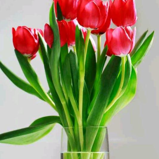 💞࿐江ღ᭄᭄💞࿐