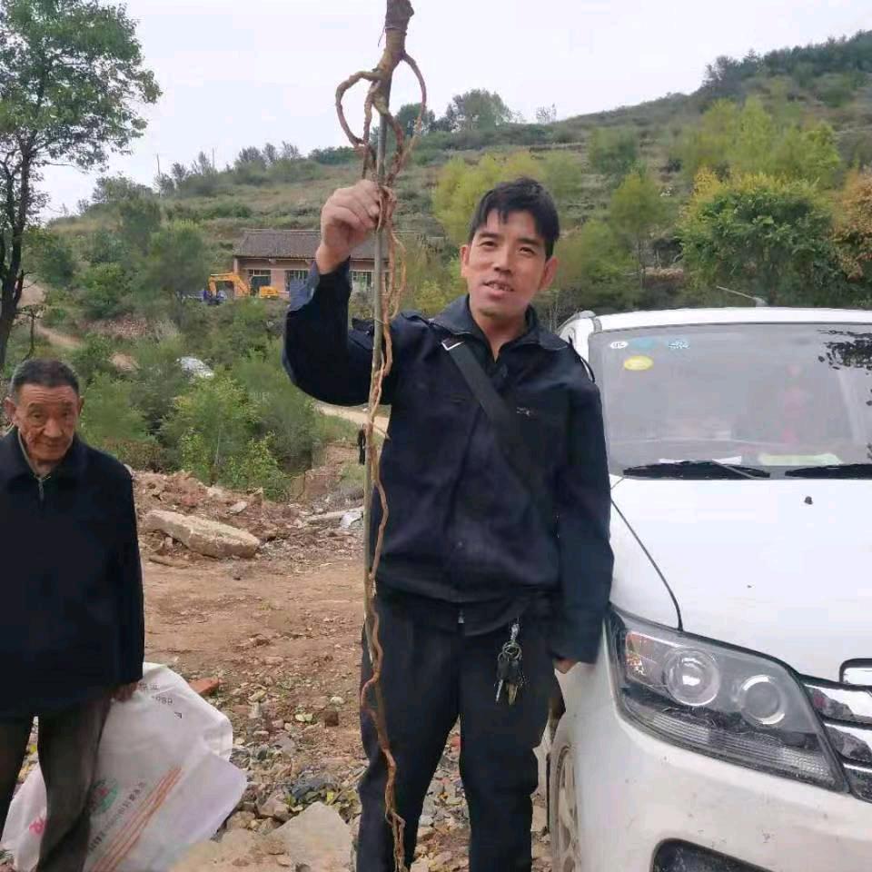 平顺晓斌