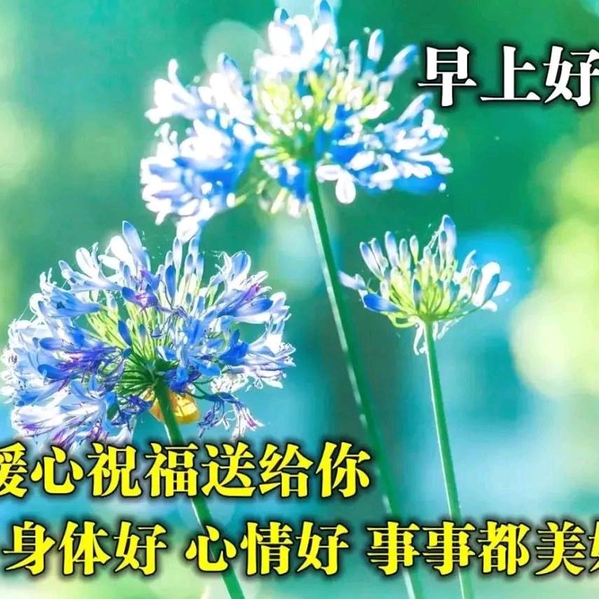 夕阳秀