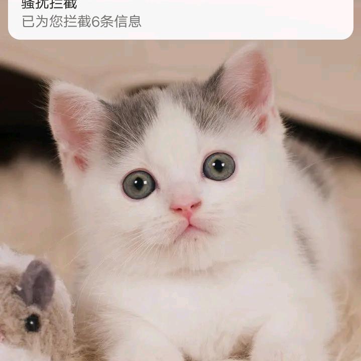 绝命