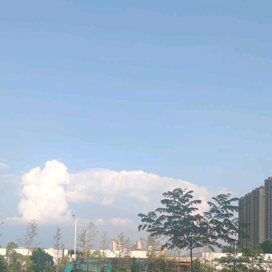 🌈秋与秋蝉
