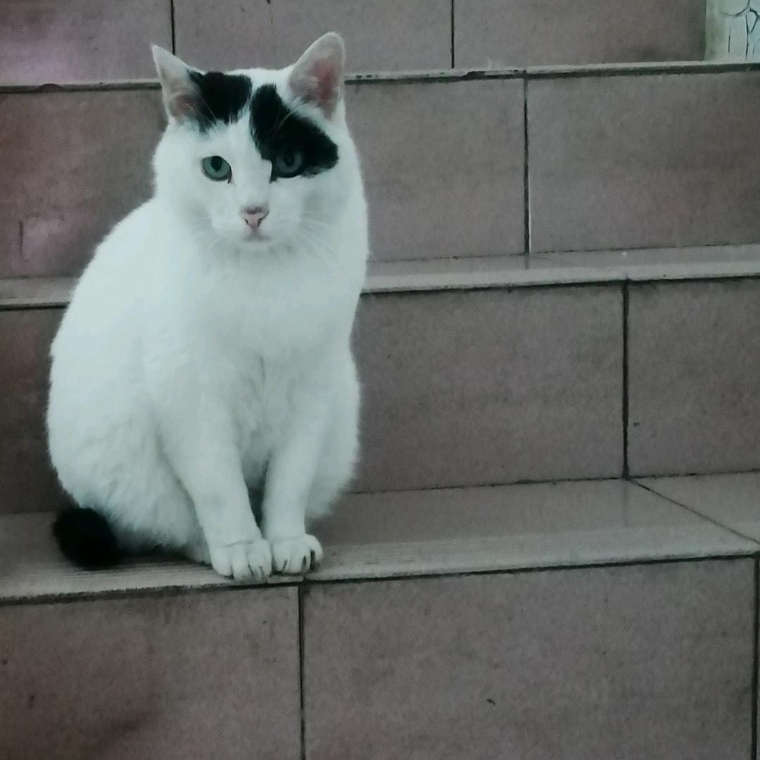 顺其自然步步高升