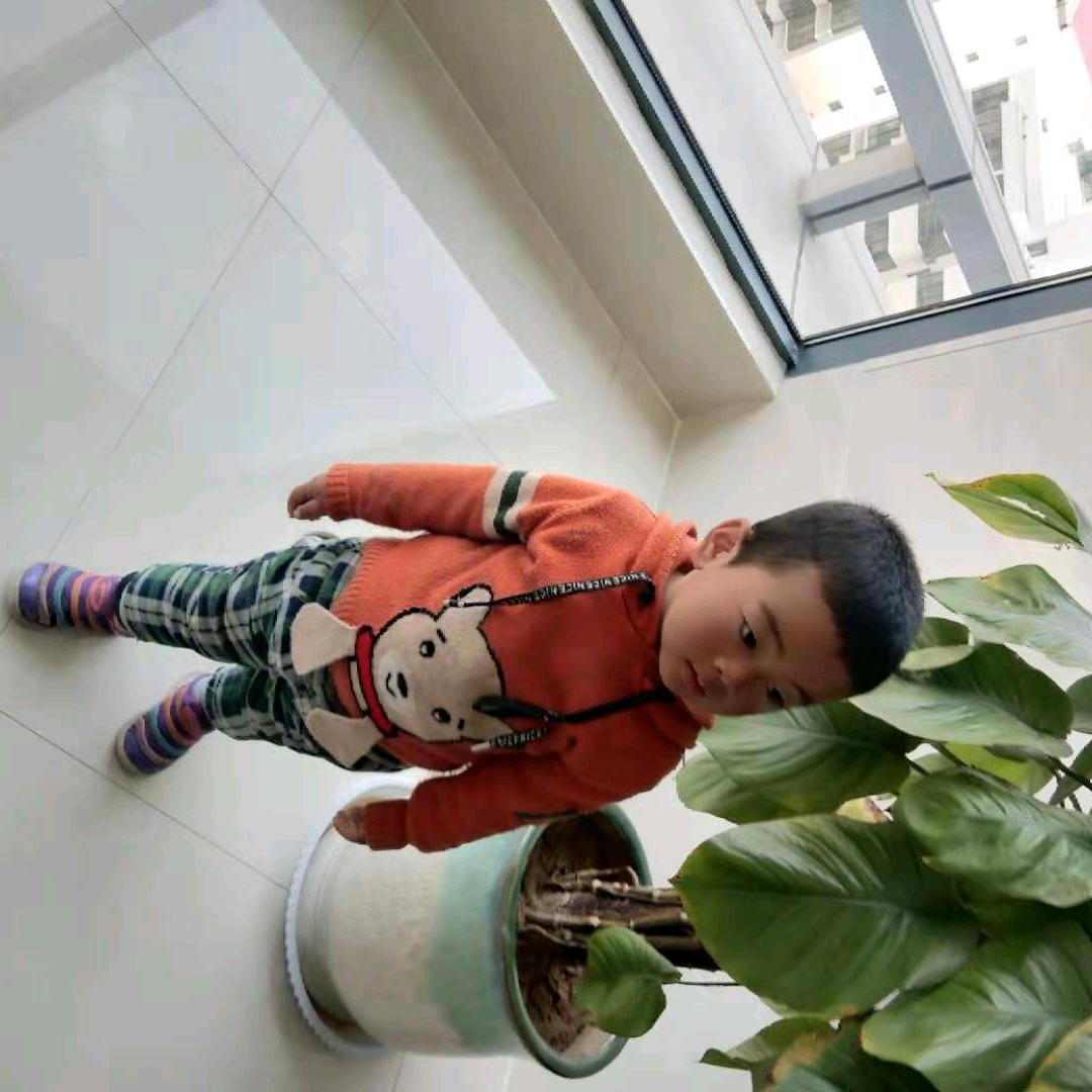强子