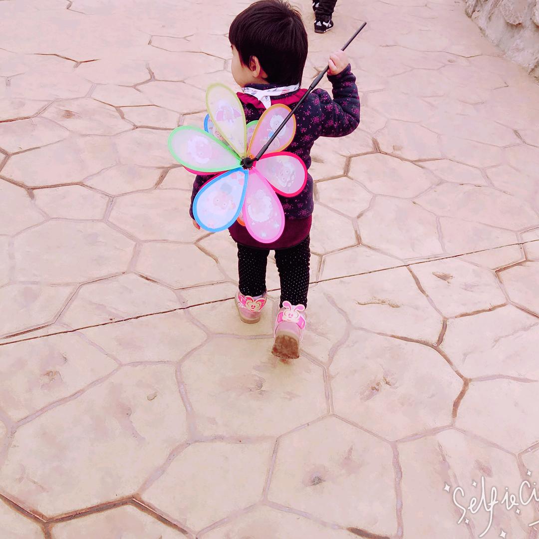 haohao摸鱼🐟