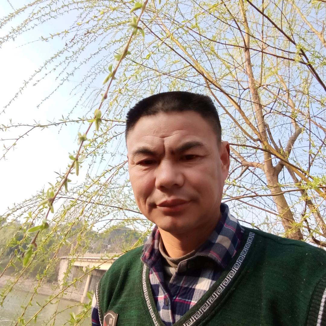 孤云一片