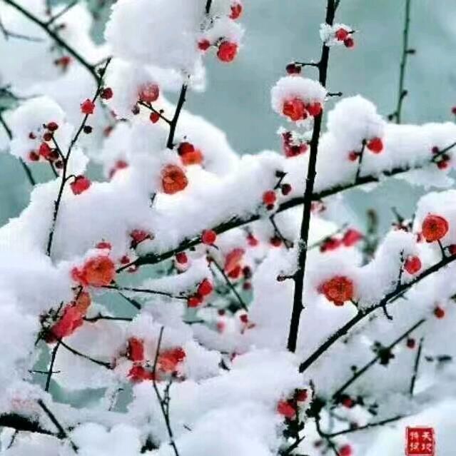 (๑•̌.•走着走着丢了(｡･ω･｡)ﾉ