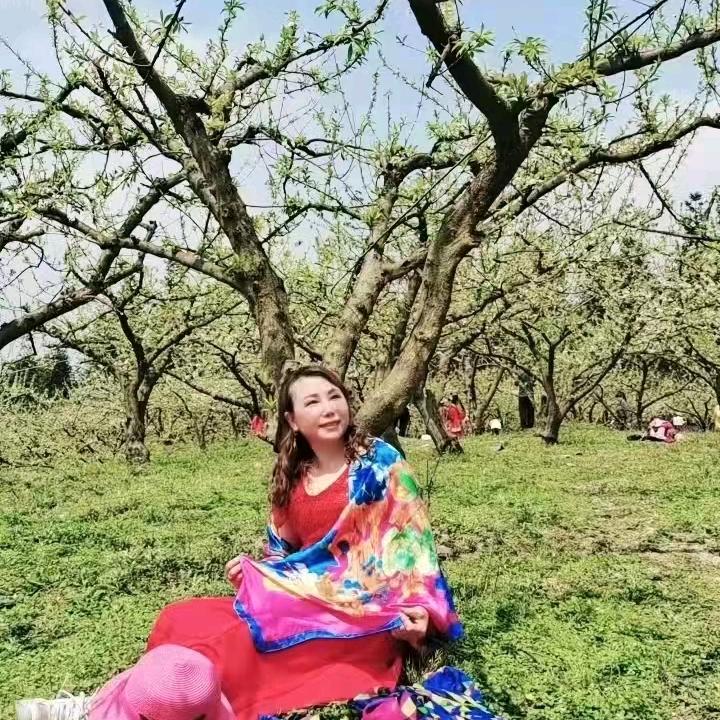 雨中情