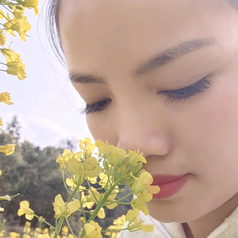 柳🌙柳