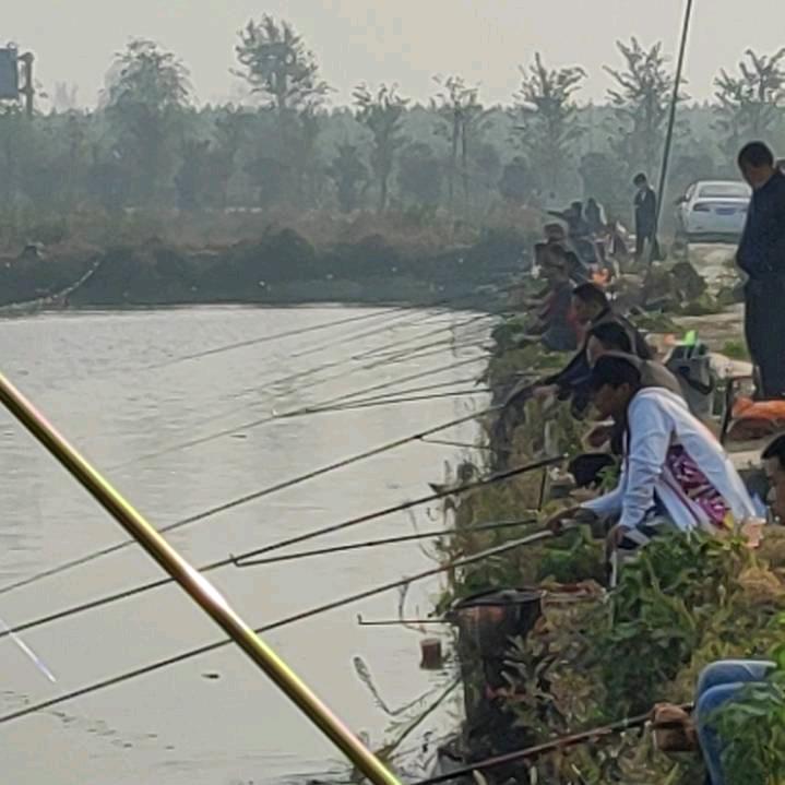 沈丘万斤大物塘