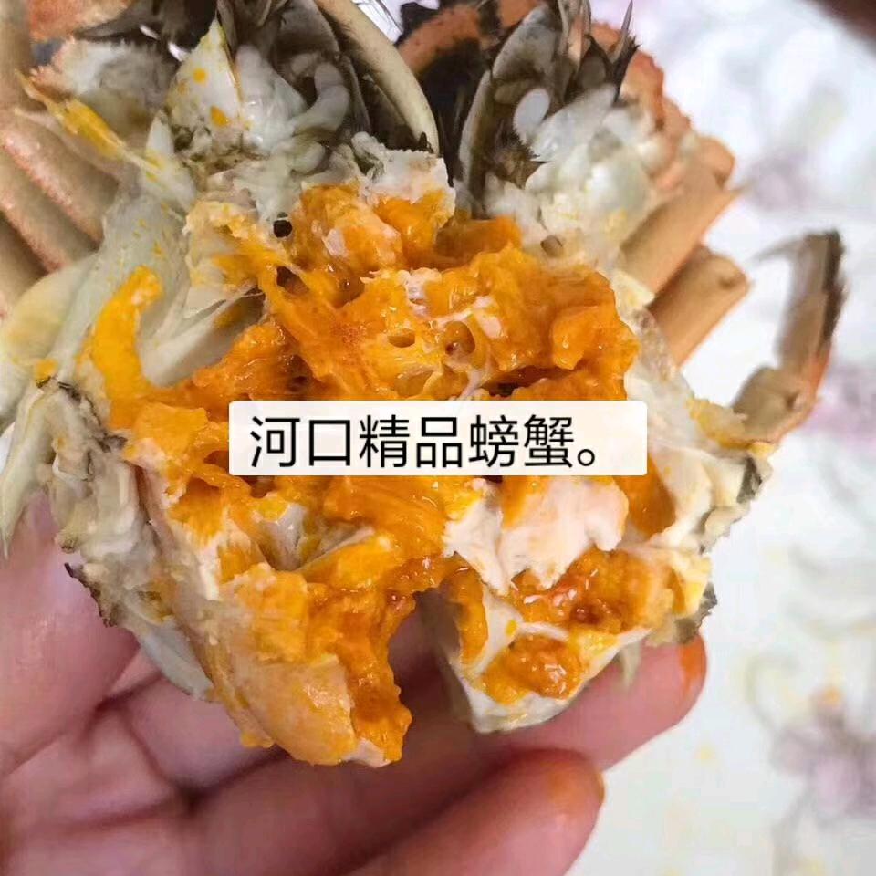 河口虾蟹