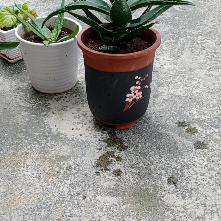 月月发财