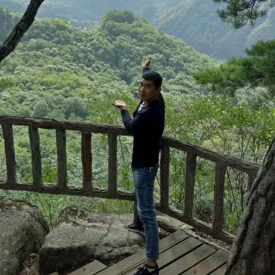 喜子买卖牛经济人