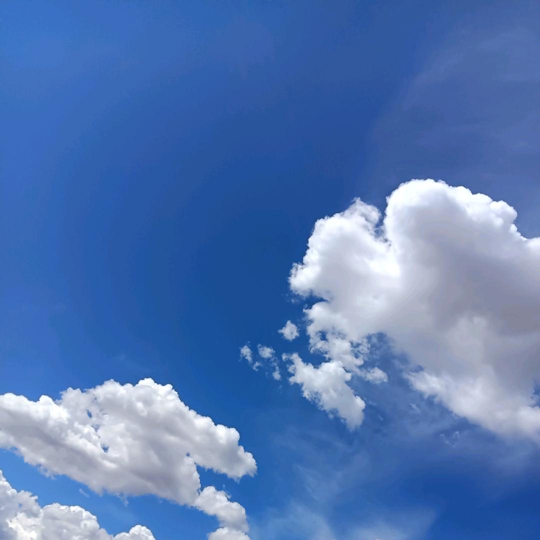 南西庄广场有手工凉皮