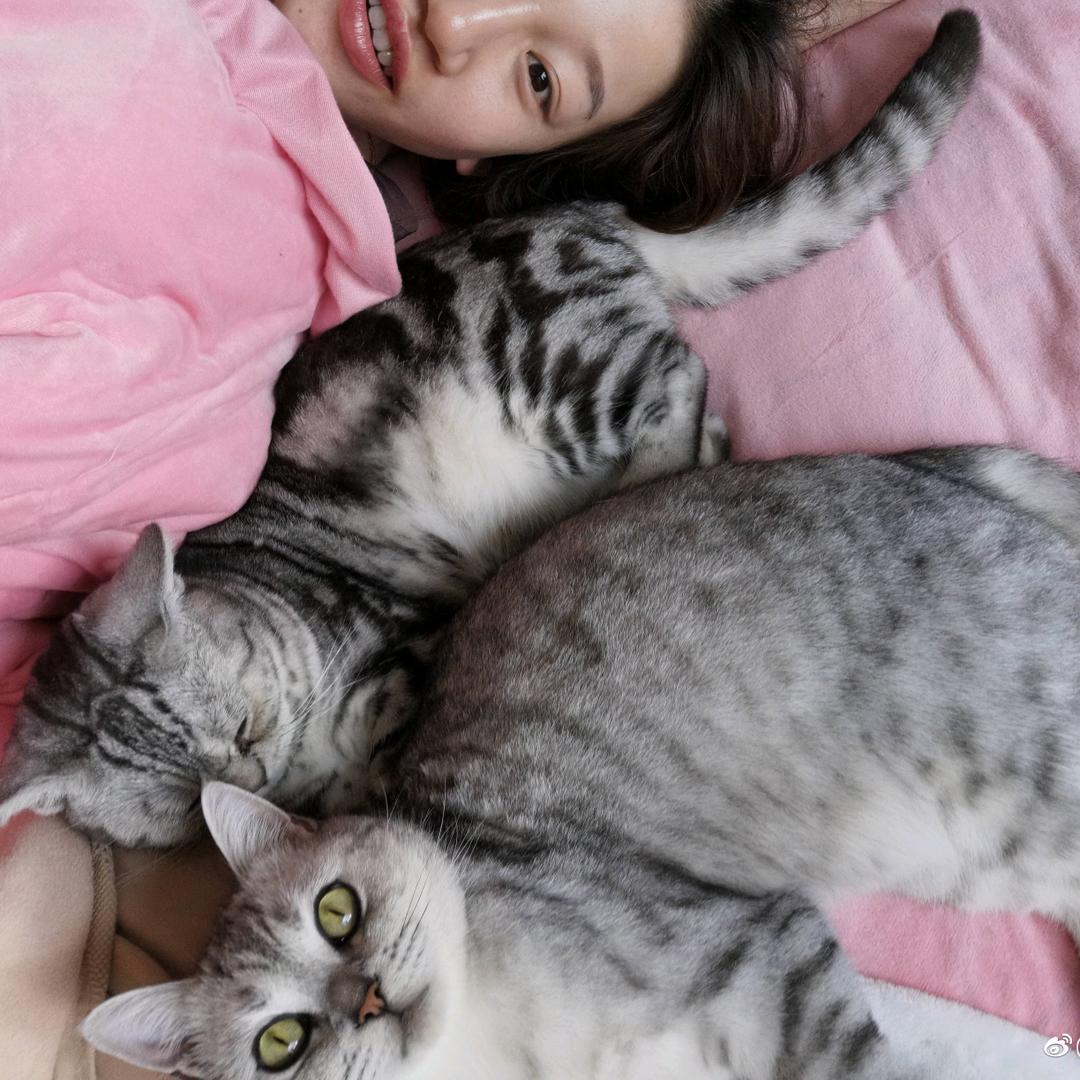 嘻嘻崽不熟