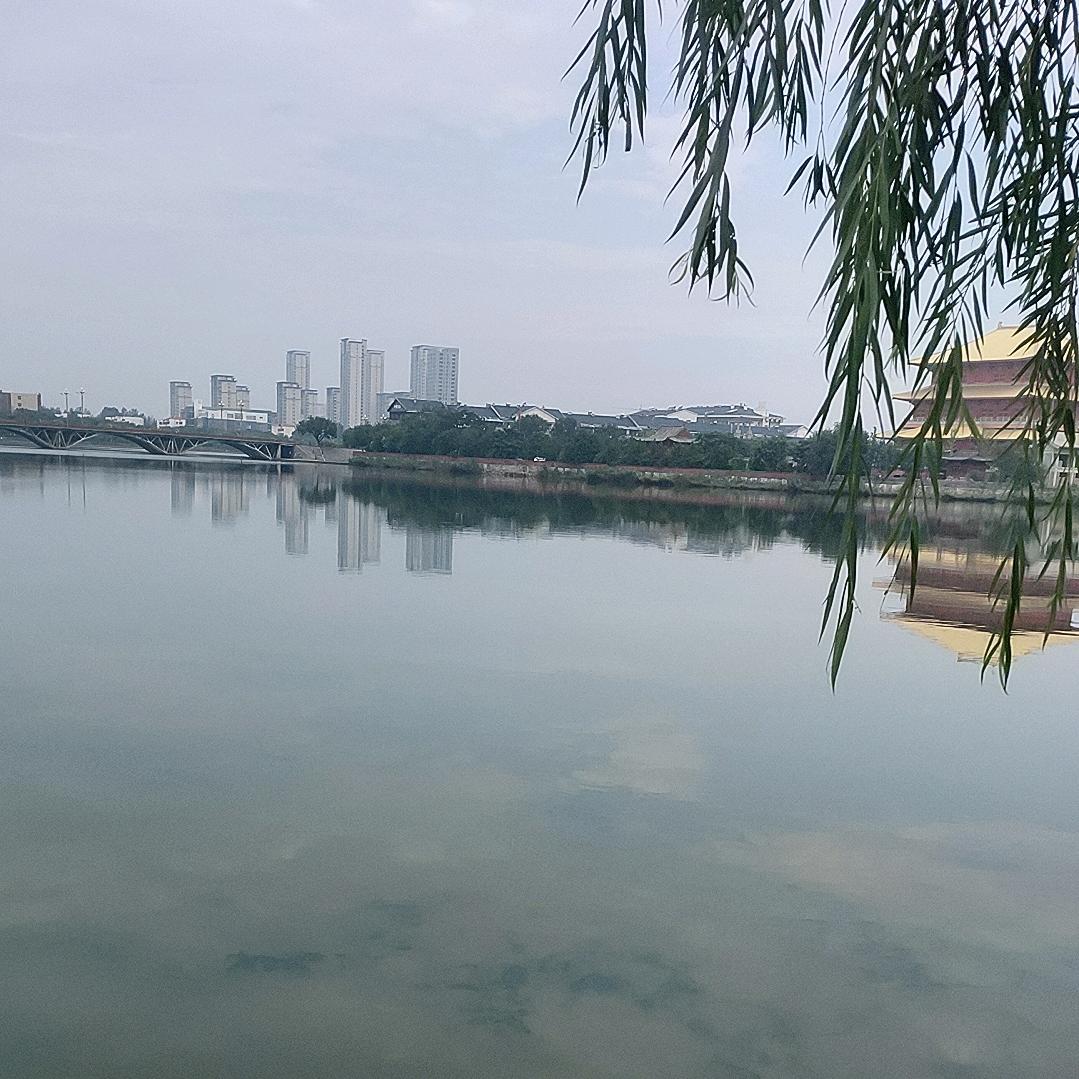 如果有如果