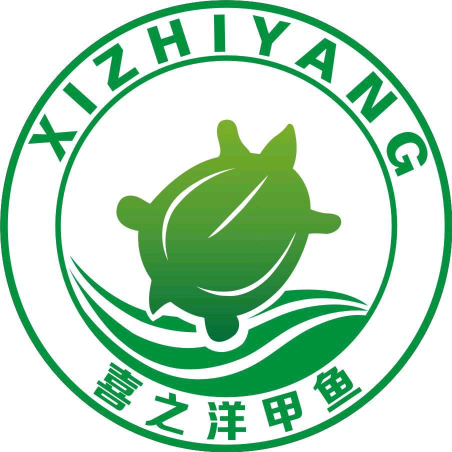 喜之洋外塘甲鱼