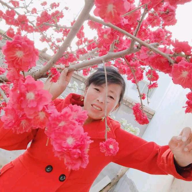 心想事成🌸