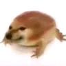 zhī