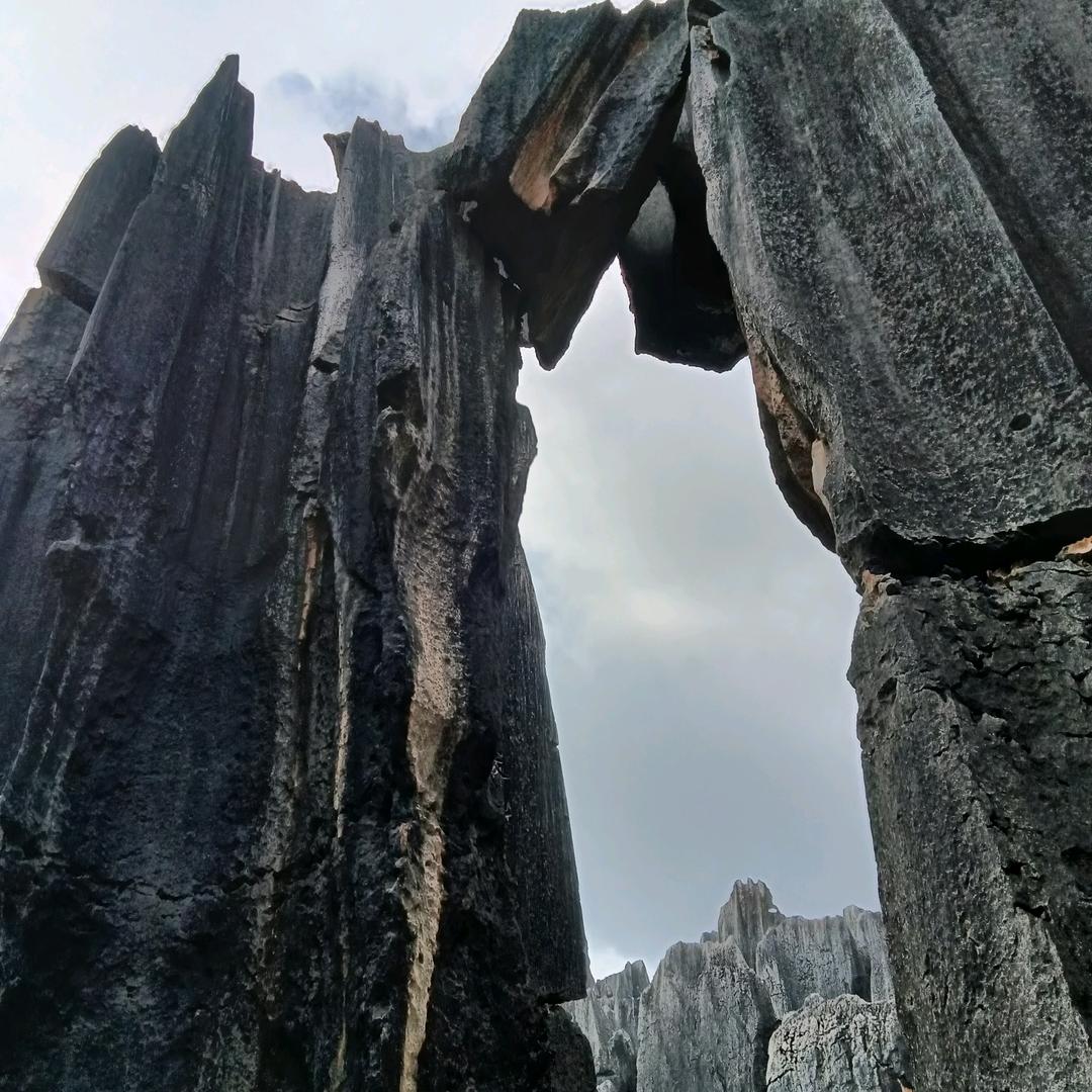 刘总