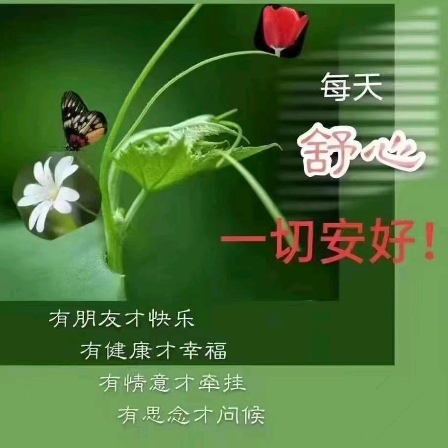 木林森）