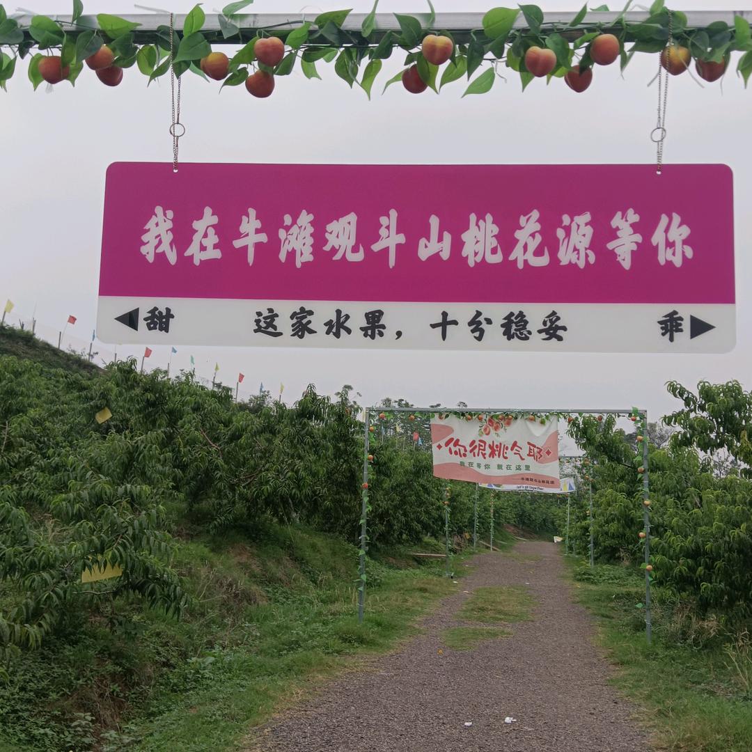 粤R姑娘🥰川E媳妇🥰