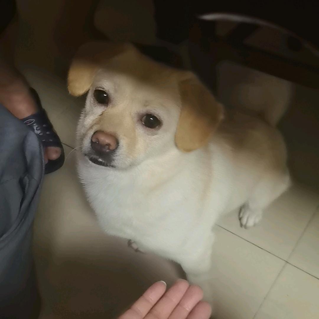 帅晕邻家妹妹