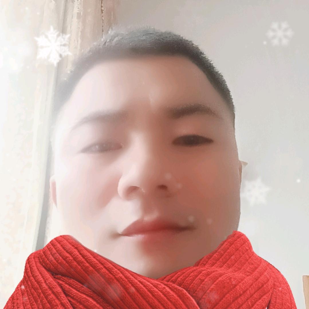 💥💥小强💥💥