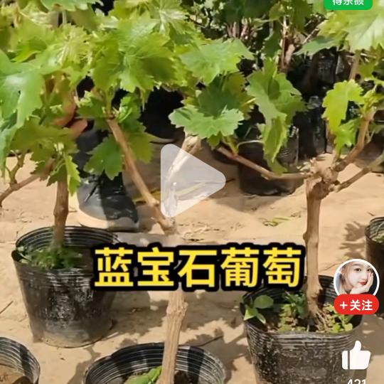 开心每一天