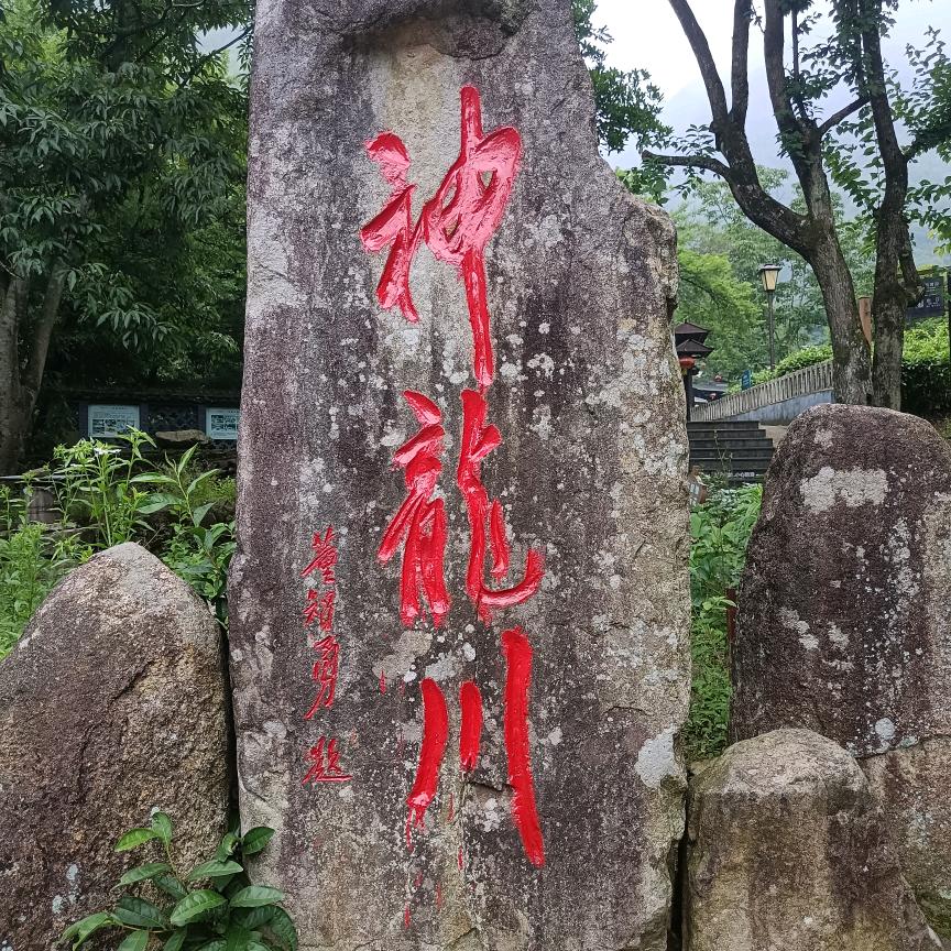 神龙川叮叮