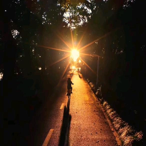 你说啥就是啥！！